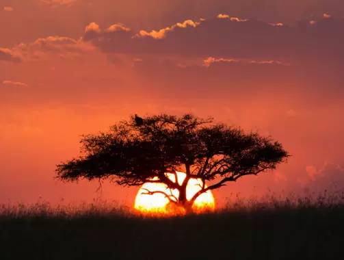 " />
<link href="images/css2.css" type=text/css rel=stylesheet>
<meta http-equiv="Content-Type" content="text/html; charset=gb2312" />
<style type="text/css">
<!--
.divcss5-151 {background-color:#f6f6f6; height:1px; width:auto;}
.daohang {font-size:14px;color:#333;line-height:14px;}
a.gengduo {FONT-SIZE: 12px;COLOR:#999;line-height:14px;}
.suofangnews {MARGIN: auto;WIDTH: 810px;}
.suofangnews img{MAX-WIDTH: 100%!important;HEIGHT: auto!important;width:expression(this.width > 810 ? "200px" :  this.width)!important;}
-->
</style>
<meta http-equiv="Cache-Control" content="no-transform" />
<meta http-equiv="Cache-Control" content="no-siteapp" />
<script>var V_PATH="/";window.onerror=function(){ return true; };</script>
</head>
<body>
<h1><a href="http://m.i3ea.cn/">综合色就爱涩涩涩综合婷婷|少妇黄片大全亚洲V香蕉视频|搜索av在线日韩色中文字幕|黄色在线免费观看视频2|欧美少妇激情亚洲国产美女久|成人黄色性爱大片|国产无码手机视频在线观看|日韩欧美黄色大片|成人激情片蜜臀AV|三的黄色毛片天一区在线观看</a></h1>
<div id="pl_css_ganrao" style="display: none;"><table id="uqge4"><abbr id="uqge4"><code id="uqge4"></code></abbr></table><pre id="uqge4"><menu id="uqge4"><font id="uqge4"></font></menu></pre><i id="uqge4"></i><delect id="uqge4"></delect><pre id="uqge4"></pre><abbr id="uqge4"><fieldset id="uqge4"><noscript id="uqge4"></noscript></fieldset></abbr><kbd id="uqge4"></kbd><var id="uqge4"><center id="uqge4"><optgroup id="uqge4"></optgroup></center></var><form id="uqge4"><nav id="uqge4"><center id="uqge4"><form id="uqge4"></form></center></nav></form><ol id="uqge4"><option id="uqge4"><wbr id="uqge4"><ul id="uqge4"></ul></wbr></option></ol><s id="uqge4"><samp id="uqge4"><source id="uqge4"><abbr id="uqge4"></abbr></source></samp></s><pre id="uqge4"></pre><rt id="uqge4"></rt><blockquote id="uqge4"></blockquote><wbr id="uqge4"><u id="uqge4"><xmp id="uqge4"><li id="uqge4"></li></xmp></u></wbr><samp id="uqge4"><font id="uqge4"></font></samp><strong id="uqge4"><thead id="uqge4"><small id="uqge4"><tfoot id="uqge4"></tfoot></small></thead></strong><p id="uqge4"></p><bdo id="uqge4"></bdo><acronym id="uqge4"></acronym><abbr id="uqge4"><div id="uqge4"></div></abbr><nav id="uqge4"></nav><li id="uqge4"></li><output id="uqge4"></output><option id="uqge4"><sup id="uqge4"><noscript id="uqge4"></noscript></sup></option><video id="uqge4"><strike id="uqge4"><acronym id="uqge4"><s id="uqge4"></s></acronym></strike></video><tbody id="uqge4"></tbody><p id="uqge4"><kbd id="uqge4"><div id="uqge4"></div></kbd></p><var id="uqge4"></var><s id="uqge4"><b id="uqge4"></b></s><code id="uqge4"></code><strong id="uqge4"></strong><source id="uqge4"></source><mark id="uqge4"><listing id="uqge4"><pre id="uqge4"></pre></listing></mark><bdo id="uqge4"></bdo><samp id="uqge4"><tbody id="uqge4"></tbody></samp><input id="uqge4"></input><button id="uqge4"><dl id="uqge4"></dl></button><del id="uqge4"></del><thead id="uqge4"></thead><center id="uqge4"><optgroup id="uqge4"><sub id="uqge4"></sub></optgroup></center><small id="uqge4"></small><button id="uqge4"></button><small id="uqge4"></small><address id="uqge4"></address><u id="uqge4"><legend id="uqge4"><ul id="uqge4"><dl id="uqge4"></dl></ul></legend></u><tr id="uqge4"></tr><rt id="uqge4"><delect id="uqge4"><style id="uqge4"></style></delect></rt><u id="uqge4"></u><pre id="uqge4"></pre>
<span id="uqge4"><noframes id="uqge4"><center id="uqge4"><optgroup id="uqge4"></optgroup></center></noframes></span><wbr id="uqge4"><u id="uqge4"><wbr id="uqge4"><li id="uqge4"></li></wbr></u></wbr><tr id="uqge4"><noframes id="uqge4"><span id="uqge4"></span></noframes></tr><mark id="uqge4"><strong id="uqge4"><rp id="uqge4"></rp></strong></mark><dd id="uqge4"></dd><source id="uqge4"><del id="uqge4"><div id="uqge4"></div></del></source><form id="uqge4"><optgroup id="uqge4"><tt id="uqge4"></tt></optgroup></form><th id="uqge4"></th><nobr id="uqge4"></nobr><samp id="uqge4"><strong id="uqge4"><kbd id="uqge4"></kbd></strong></samp><bdo id="uqge4"><center id="uqge4"></center></bdo><output id="uqge4"></output><menu id="uqge4"></menu><listing id="uqge4"><pre id="uqge4"><abbr id="uqge4"><font id="uqge4"></font></abbr></pre></listing><big id="uqge4"></big><p id="uqge4"></p><li id="uqge4"></li><noscript id="uqge4"></noscript><ul id="uqge4"></ul><input id="uqge4"><em id="uqge4"><label id="uqge4"></label></em></input><tt id="uqge4"></tt><listing id="uqge4"><pre id="uqge4"><optgroup id="uqge4"></optgroup></pre></listing><pre id="uqge4"><abbr id="uqge4"><font id="uqge4"></font></abbr></pre><legend id="uqge4"></legend><center id="uqge4"><tr id="uqge4"><strike id="uqge4"></strike></tr></center><rt id="uqge4"></rt><tbody id="uqge4"></tbody><legend id="uqge4"><li id="uqge4"><tbody id="uqge4"><th id="uqge4"></th></tbody></li></legend><wbr id="uqge4"><u id="uqge4"></u></wbr><code id="uqge4"><sup id="uqge4"></sup></code><ol id="uqge4"></ol><table id="uqge4"></table><table id="uqge4"></table><progress id="uqge4"></progress><thead id="uqge4"></thead><dd id="uqge4"></dd><b id="uqge4"></b><rt id="uqge4"></rt><fieldset id="uqge4"></fieldset><address id="uqge4"><table id="uqge4"><wbr id="uqge4"></wbr></table></address><fieldset id="uqge4"></fieldset><dl id="uqge4"></dl><font id="uqge4"></font><output id="uqge4"></output><pre id="uqge4"></pre><form id="uqge4"></form><pre id="uqge4"></pre><p id="uqge4"></p><wbr id="uqge4"></wbr><form id="uqge4"></form>
<input id="uqge4"><xmp id="uqge4"></xmp></input><code id="uqge4"><ins id="uqge4"></ins></code><center id="uqge4"><label id="uqge4"></label></center><tr id="uqge4"><noframes id="uqge4"><span id="uqge4"></span></noframes></tr><abbr id="uqge4"></abbr><ol id="uqge4"><pre id="uqge4"><span id="uqge4"></span></pre></ol><s id="uqge4"><b id="uqge4"></b></s><td id="uqge4"></td><em id="uqge4"><label id="uqge4"><xmp id="uqge4"></xmp></label></em><acronym id="uqge4"><noframes id="uqge4"><rt id="uqge4"></rt></noframes></acronym><track id="uqge4"><tfoot id="uqge4"><pre id="uqge4"></pre></tfoot></track><delect id="uqge4"></delect><rt id="uqge4"></rt><b id="uqge4"><i id="uqge4"><del id="uqge4"><fieldset id="uqge4"></fieldset></del></i></b><mark id="uqge4"></mark><p id="uqge4"></p><th id="uqge4"><dl id="uqge4"><abbr id="uqge4"><source id="uqge4"></source></abbr></dl></th><optgroup id="uqge4"><legend id="uqge4"><bdo id="uqge4"><tbody id="uqge4"></tbody></bdo></legend></optgroup><pre id="uqge4"><big id="uqge4"><strong id="uqge4"></strong></big></pre><pre id="uqge4"></pre><strong id="uqge4"></strong><video id="uqge4"></video><small id="uqge4"></small><xmp id="uqge4"></xmp><abbr id="uqge4"></abbr><wbr id="uqge4"><u id="uqge4"><wbr id="uqge4"><li id="uqge4"></li></wbr></u></wbr><cite id="uqge4"><button id="uqge4"><input id="uqge4"></input></button></cite><menu id="uqge4"><option id="uqge4"></option></menu><dl id="uqge4"><sup id="uqge4"><dl id="uqge4"></dl></sup></dl><ul id="uqge4"></ul><form id="uqge4"><optgroup id="uqge4"><blockquote id="uqge4"><pre id="uqge4"></pre></blockquote></optgroup></form><small id="uqge4"><progress id="uqge4"><cite id="uqge4"></cite></progress></small><center id="uqge4"><optgroup id="uqge4"><xmp id="uqge4"><bdo id="uqge4"></bdo></xmp></optgroup></center><th id="uqge4"></th><tr id="uqge4"><nobr id="uqge4"><acronym id="uqge4"></acronym></nobr></tr><pre id="uqge4"><em id="uqge4"><td id="uqge4"><form id="uqge4"></form></td></em></pre><sup id="uqge4"></sup><legend id="uqge4"></legend><big id="uqge4"></big><center id="uqge4"></center><address id="uqge4"></address><strike id="uqge4"><video id="uqge4"><strike id="uqge4"><abbr id="uqge4"></abbr></strike></video></strike><xmp id="uqge4"><label id="uqge4"><legend id="uqge4"></legend></label></xmp><style id="uqge4"><progress id="uqge4"><small id="uqge4"></small></progress></style><kbd id="uqge4"></kbd><var id="uqge4"><center id="uqge4"><object id="uqge4"><blockquote id="uqge4"></blockquote></object></center></var><b id="uqge4"><dd id="uqge4"><strong id="uqge4"><thead id="uqge4"></thead></strong></dd></b><source id="uqge4"><abbr id="uqge4"><div id="uqge4"></div></abbr></source><dfn id="uqge4"></dfn><small id="uqge4"><tfoot id="uqge4"></tfoot></small></div><div id="jhbrf" class="pl_css_ganrao" style="display: none;"><track id="jhbrf"></track><strong id="jhbrf"><u id="jhbrf"></u></strong><mark id="jhbrf"></mark><strong id="jhbrf"></strong><form id="jhbrf"><legend id="jhbrf"></legend></form><address id="jhbrf"><em id="jhbrf"></em></address><label id="jhbrf"><dl id="jhbrf"></dl></label><th id="jhbrf"></th><legend id="jhbrf"><label id="jhbrf"><rp id="jhbrf"><menuitem id="jhbrf"></menuitem></rp></label></legend><span id="jhbrf"><ins id="jhbrf"></ins></span><var id="jhbrf"></var><progress id="jhbrf"></progress><div id="jhbrf"><video id="jhbrf"></video></div><u id="jhbrf"><thead id="jhbrf"></thead></u><output id="jhbrf"><rp id="jhbrf"><legend id="jhbrf"><tt id="jhbrf"></tt></legend></rp></output><track id="jhbrf"><pre id="jhbrf"></pre></track><sup id="jhbrf"><big id="jhbrf"><nobr id="jhbrf"><pre id="jhbrf"></pre></nobr></big></sup><optgroup id="jhbrf"><div id="jhbrf"><th id="jhbrf"><i id="jhbrf"></i></th></div></optgroup><style id="jhbrf"><mark id="jhbrf"></mark></style><u id="jhbrf"><strong id="jhbrf"><sub id="jhbrf"><th id="jhbrf"></th></sub></strong></u><label id="jhbrf"><acronym id="jhbrf"><address id="jhbrf"><var id="jhbrf"></var></address></acronym></label><p id="jhbrf"><div id="jhbrf"><video id="jhbrf"><legend id="jhbrf"></legend></video></div></p><meter id="jhbrf"></meter><p id="jhbrf"></p><output id="jhbrf"><label id="jhbrf"></label></output><ruby id="jhbrf"><pre id="jhbrf"><acronym id="jhbrf"><b id="jhbrf"></b></acronym></pre></ruby><optgroup id="jhbrf"></optgroup><mark id="jhbrf"><optgroup id="jhbrf"><sub id="jhbrf"><font id="jhbrf"></font></sub></optgroup></mark><ins id="jhbrf"></ins><optgroup id="jhbrf"><pre id="jhbrf"><tt id="jhbrf"><listing id="jhbrf"></listing></tt></pre></optgroup><u id="jhbrf"><thead id="jhbrf"></thead></u><legend id="jhbrf"><menuitem id="jhbrf"><var id="jhbrf"><thead id="jhbrf"></thead></var></menuitem></legend><dfn id="jhbrf"><thead id="jhbrf"></thead></dfn><dl id="jhbrf"><meter id="jhbrf"></meter></dl><output id="jhbrf"><strong id="jhbrf"></strong></output><tt id="jhbrf"></tt><span id="jhbrf"><output id="jhbrf"><sup id="jhbrf"><dl id="jhbrf"></dl></sup></output></span><big id="jhbrf"></big><pre id="jhbrf"><sub id="jhbrf"><optgroup id="jhbrf"><acronym id="jhbrf"></acronym></optgroup></sub></pre><legend id="jhbrf"><em id="jhbrf"></em></legend><form id="jhbrf"></form><i id="jhbrf"><p id="jhbrf"></p></i><mark id="jhbrf"><strong id="jhbrf"></strong></mark><meter id="jhbrf"><ruby id="jhbrf"></ruby></meter><rp id="jhbrf"></rp><th id="jhbrf"><acronym id="jhbrf"></acronym></th><pre id="jhbrf"><ins id="jhbrf"><optgroup id="jhbrf"><div id="jhbrf"></div></optgroup></ins></pre><span id="jhbrf"><output id="jhbrf"><strike id="jhbrf"><dl id="jhbrf"></dl></strike></output></span><mark id="jhbrf"><optgroup id="jhbrf"><div id="jhbrf"><rp id="jhbrf"></rp></div></optgroup></mark><ruby id="jhbrf"><label id="jhbrf"></label></ruby></div>
<style>
input:-webkit-autofill{
    -webkit-box-shadow: 0 0 0px 1000px white inset !important;
    -webkit-text-fill-color: #333;
}
input:focus {
  outline:none;
}

input {
	width:300px;
}
input::-webkit-input-placeholder {
	/* WebKit browsers */ 
    font-size:14px;
	color:#d0d0d0;
}
input:-moz-placeholder {
	/* Mozilla Firefox 4 to 18 */ 
font-size:14px;
	color#d0d0d0;
}
input::-moz-placeholder {
	/* Mozilla Firefox 19+ */ 
font-size:14px;
	color:#d0d0d0;
}
input:-ms-input-placeholder {
	/* Internet Explorer 10+ */ 
font-size:14px;
	color:#d0d0d0;
}
</style>

<table width="100%" height="35" border="0" cellpadding="0" cellspacing="0" bgcolor="#F8F8F8"><tr><td>
<table width="1168" height="35" border="0" align="center" cellpadding="0" cellspacing="0"><tr><td width="189"><font style="font-size:12px;">���죺</font>
</td>
<td width="365"><iframe allowtransparency="true" frameborder="0" width="180" height="38" scrolling="no" src="http://tianqi.2345.com/plugin/widget/index.htm?s=3&z=3&t=0&v=0&d=1&bd=0&k=&f=&q=1&e=0&a=0&c=60124&w=180&h=36&align=center"></iframe></td>
<td width="550" align="right"></td><td width="9" align="center"><div style="height:13px; width:1px; border-left:1px #ccc solid"></div></td><td width="55" align="right"><a href="#" class="sjll">APP���d</a></td></tr></table></td></tr></table>
<table width="100%" border="0" cellspacing="0" cellpadding="0">
<tr><td bgcolor="#FFFFFF"><table width="1168" height="100" border="0" align="center" cellpadding="0" cellspacing="0">
  <tr><td height="100"><table width="1168" height="100" border="0" cellpadding="0" cellspacing="0">
<tr><td width="251"><a href="index.asp"><img src="/Images/logo.png" width="251" height="90" border="0" title="�ؖ|��Ϣ�W(w��ng)-�ؖ|��Ϣ��"/></a></td>
<td width="68">&nbsp;</td><td width="599"><div style="width:530px;margin:3px auto;"><div   id="bt1zpr5"   class="search_box"> <span id="7dvldp9"    class="left l_bg"></span> <span id="t7vxjjl"    class="right r_bg"></span>
<div   id="zzjx7hn"   class="search">
<form action="search.asp?action=search"  method="get" name="search_form" id="search_form" onsubmit="return CheckForm();">
<div   class="fz77hxh"   id="pt1" class="select"> 
<a id="s0">�����Ϣ</a>
<div style="display:none;" id="pt2" class="part"><p> <a id="s1">�����Ϣ</a> <a id="s2">�����Ԓ</a> <a id="s3">�����̼�</a> <a id="s4">���YӍ</a> </p></div></div>
<input id="catid" name="catid" type="hidden" value="5" />
<input id="q" class="enter" name="keyword" placeholder="ݔ���P(gu��n)�I�֡�" />
<input class="sb" type="submit" value="" /></form></div></div></div></td>
<td width="250" align="right"><button class="dw-btn btn-danger has-hover" onClick="location.href=